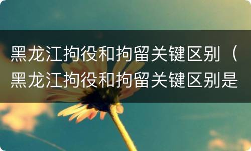 黑龙江拘役和拘留关键区别（黑龙江拘役和拘留关键区别是什么）