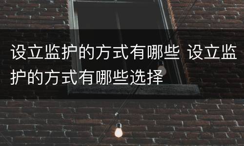 设立监护的方式有哪些 设立监护的方式有哪些选择