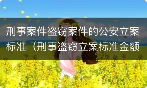 刑事案件盗窃案件的公安立案标准（刑事盗窃立案标准金额）