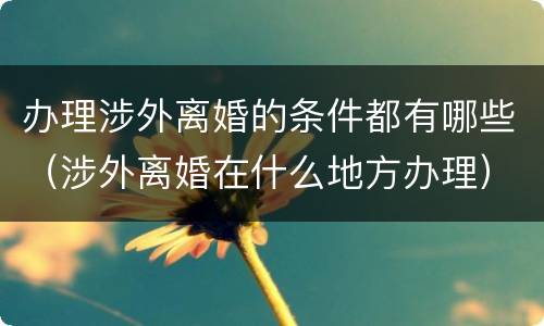 办理涉外离婚的条件都有哪些（涉外离婚在什么地方办理）