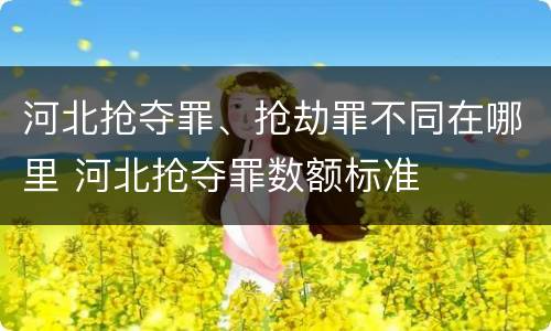 河北抢夺罪、抢劫罪不同在哪里 河北抢夺罪数额标准