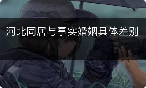 河北同居与事实婚姻具体差别