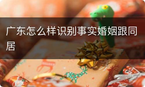 广东怎么样识别事实婚姻跟同居