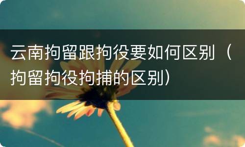 云南拘留跟拘役要如何区别（拘留拘役拘捕的区别）