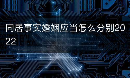 同居事实婚姻应当怎么分别2022