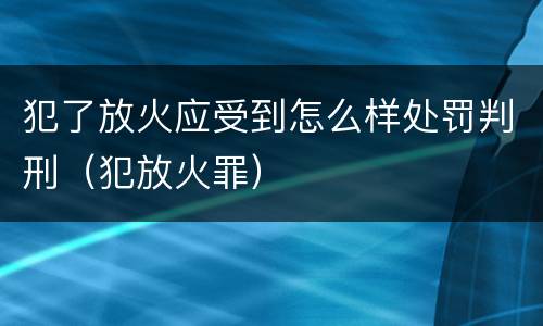 犯了放火应受到怎么样处罚判刑（犯放火罪）