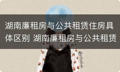 湖南廉租房与公共租赁住房具体区别 湖南廉租房与公共租赁住房具体区别在哪