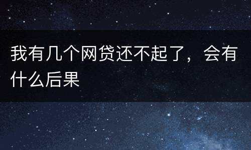 我有几个网贷还不起了，会有什么后果