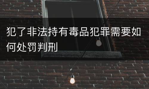 犯了非法持有毒品犯罪需要如何处罚判刑