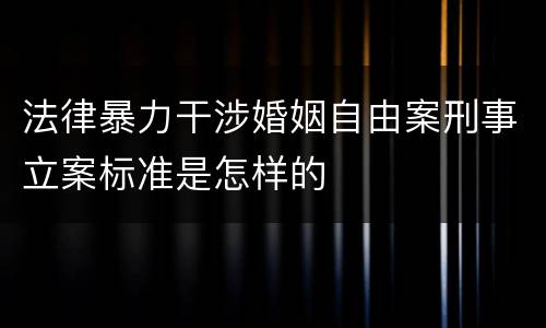 法律暴力干涉婚姻自由案刑事立案标准是怎样的