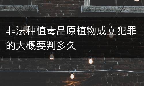 非法种植毒品原植物成立犯罪的大概要判多久
