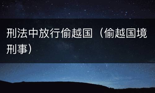 刑法中放行偷越国（偷越国境刑事）