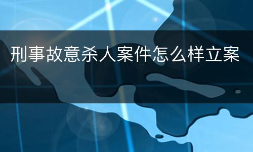 刑事故意杀人案件怎么样立案