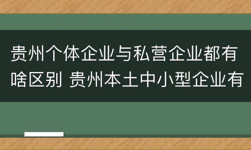 贵州个体企业与私营企业都有啥区别 贵州本土中小型企业有哪些