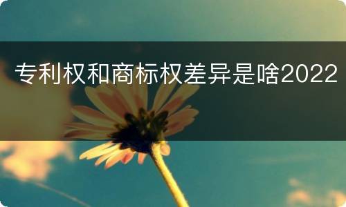 专利权和商标权差异是啥2022