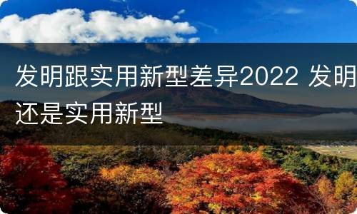 发明跟实用新型差异2022 发明还是实用新型