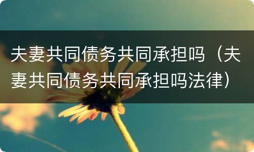 夫妻共同债务共同承担吗（夫妻共同债务共同承担吗法律）