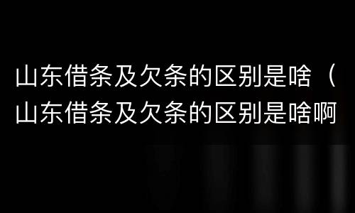 山东借条及欠条的区别是啥（山东借条及欠条的区别是啥啊）