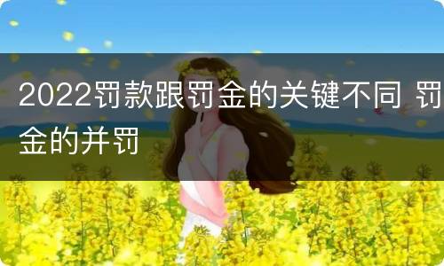 2022罚款跟罚金的关键不同 罚金的并罚
