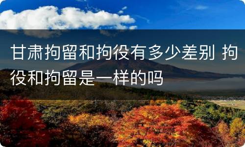 甘肃拘留和拘役有多少差别 拘役和拘留是一样的吗