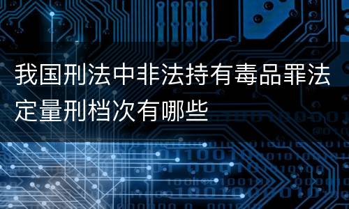 我国刑法中非法持有毒品罪法定量刑档次有哪些