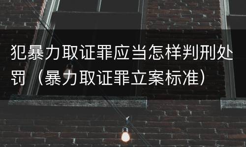 犯暴力取证罪应当怎样判刑处罚（暴力取证罪立案标准）