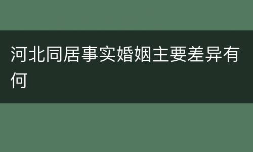 河北同居事实婚姻主要差异有何
