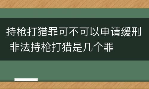 持枪打猎罪可不可以申请缓刑 非法持枪打猎是几个罪