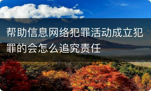 帮助信息网络犯罪活动成立犯罪的会怎么追究责任