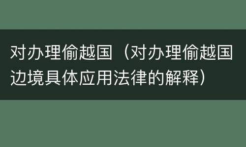对办理偷越国（对办理偷越国边境具体应用法律的解释）