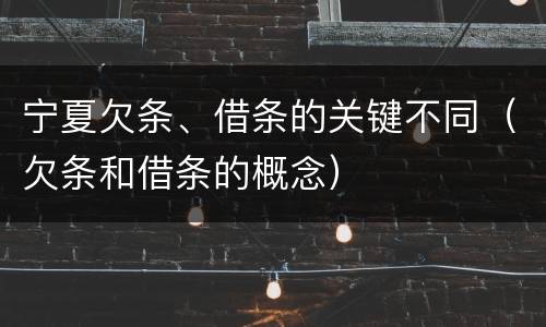 宁夏欠条、借条的关键不同（欠条和借条的概念）