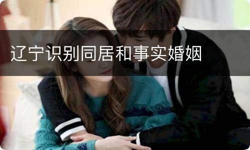 辽宁识别同居和事实婚姻