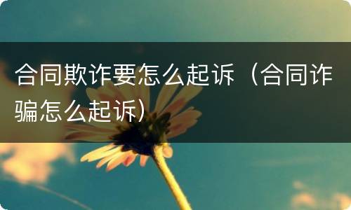 合同欺诈要怎么起诉（合同诈骗怎么起诉）