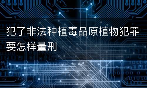 犯了非法种植毒品原植物犯罪要怎样量刑