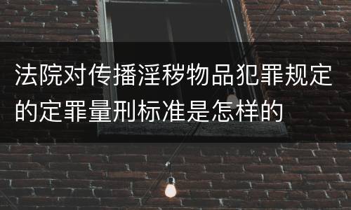 法院对传播淫秽物品犯罪规定的定罪量刑标准是怎样的