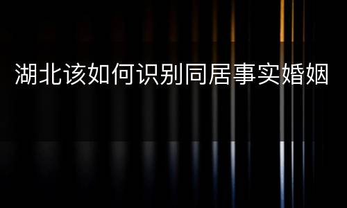 湖北该如何识别同居事实婚姻