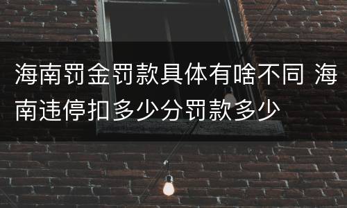 海南罚金罚款具体有啥不同 海南违停扣多少分罚款多少