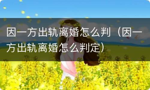 因一方出轨离婚怎么判（因一方出轨离婚怎么判定）