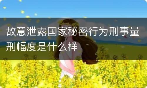 故意泄露国家秘密行为刑事量刑幅度是什么样