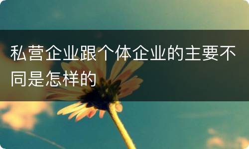 私营企业跟个体企业的主要不同是怎样的