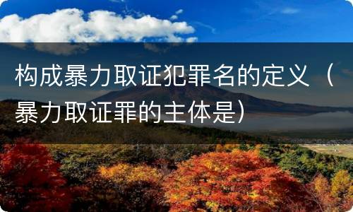 构成暴力取证犯罪名的定义（暴力取证罪的主体是）