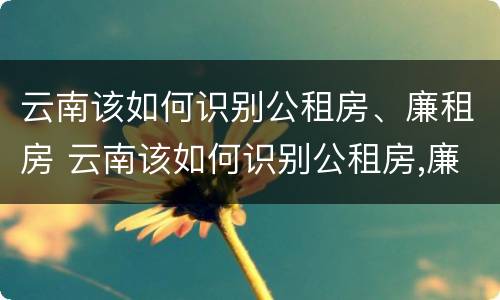云南该如何识别公租房、廉租房 云南该如何识别公租房,廉租房的标准