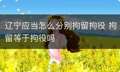 辽宁应当怎么分别拘留拘役 拘留等于拘役吗