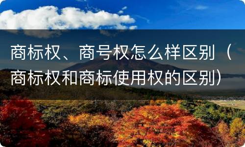 商标权、商号权怎么样区别（商标权和商标使用权的区别）