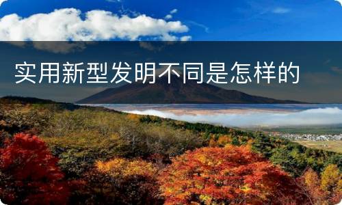 实用新型发明不同是怎样的