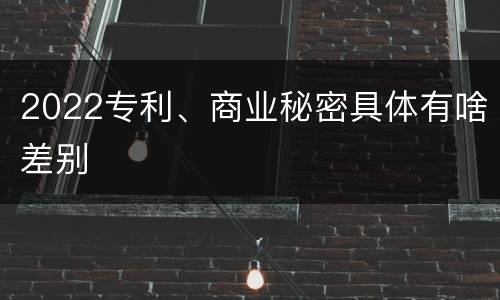 2022专利、商业秘密具体有啥差别