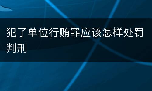 犯了单位行贿罪应该怎样处罚判刑