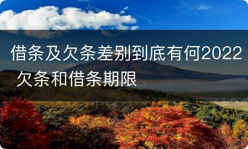 借条及欠条差别到底有何2022 欠条和借条期限