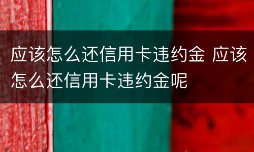 应该怎么还信用卡违约金 应该怎么还信用卡违约金呢