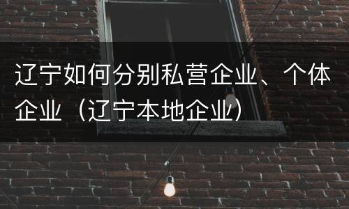 辽宁如何分别私营企业、个体企业（辽宁本地企业）